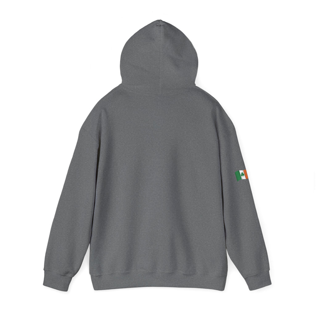 Leprechaun Pot of Gold Hoodie | St. Patrick's Day Shamrock Illustration