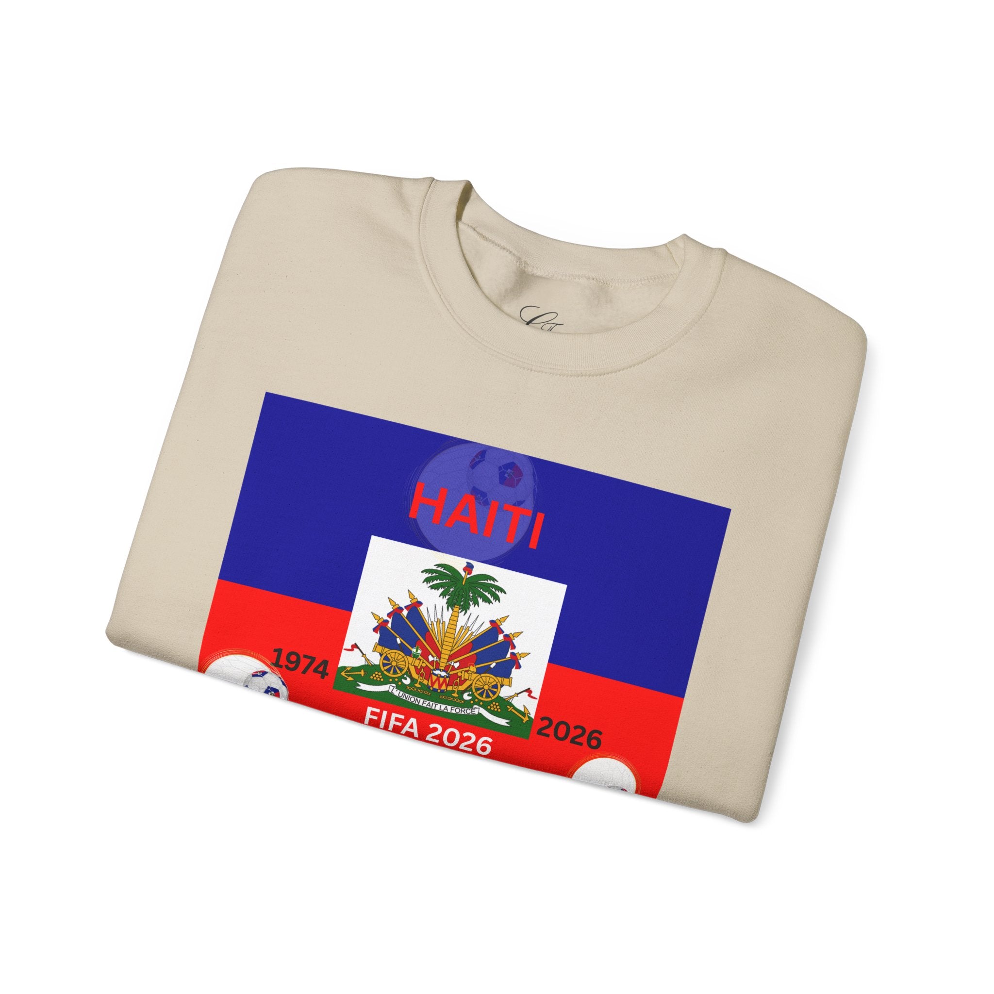 International Soccer Multicoloured Sweatshirt with Sleeve Numbers