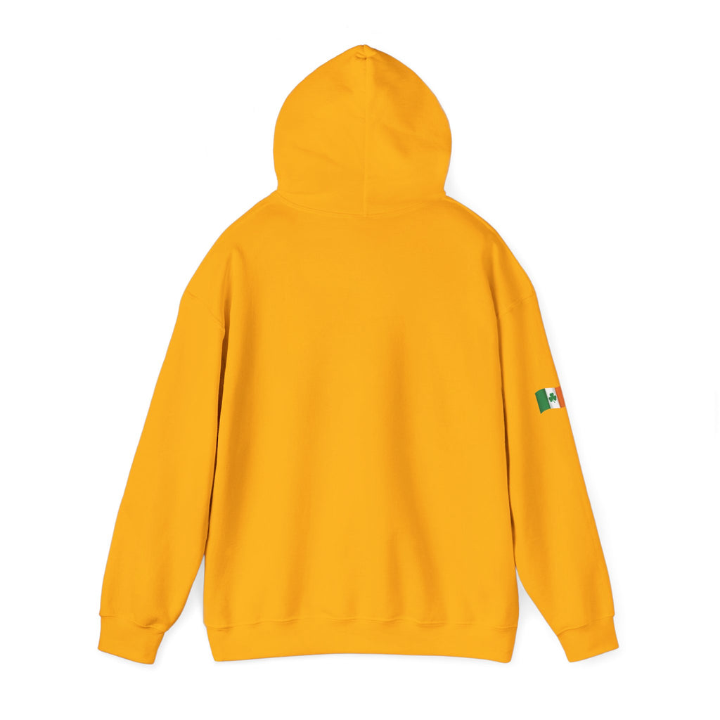 Leprechaun Pot of Gold Hoodie | St. Patrick's Day Shamrock Illustration