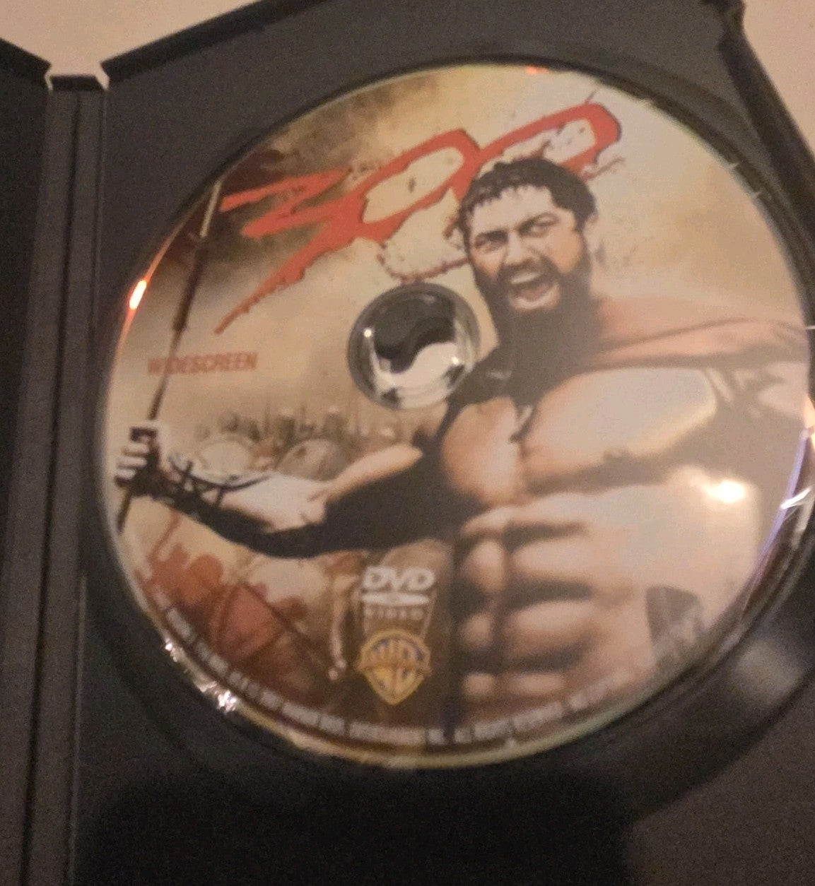300 (DVD, 2007)