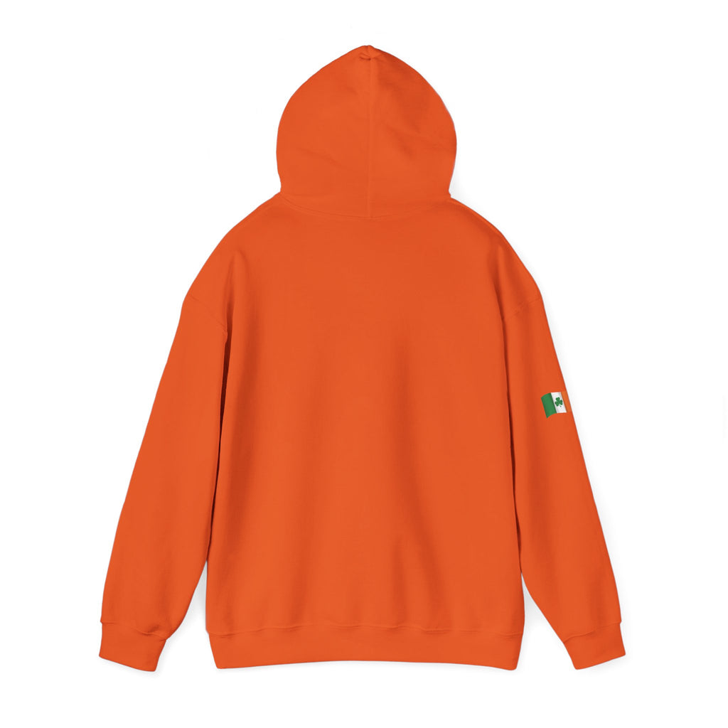 Leprechaun Pot of Gold Hoodie | St. Patrick's Day Shamrock Illustration