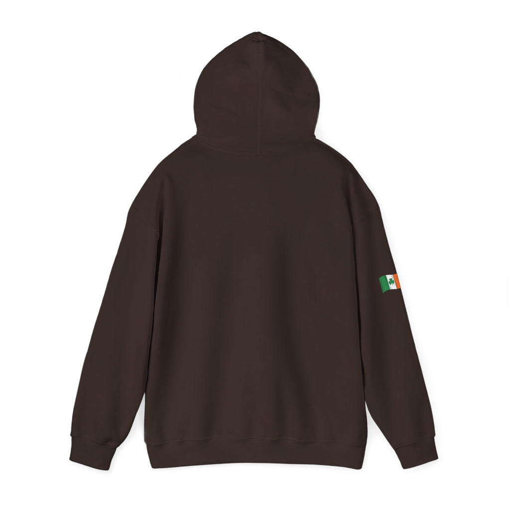 Leprechaun Pot of Gold Hoodie | St. Patrick's Day Shamrock Illustration
