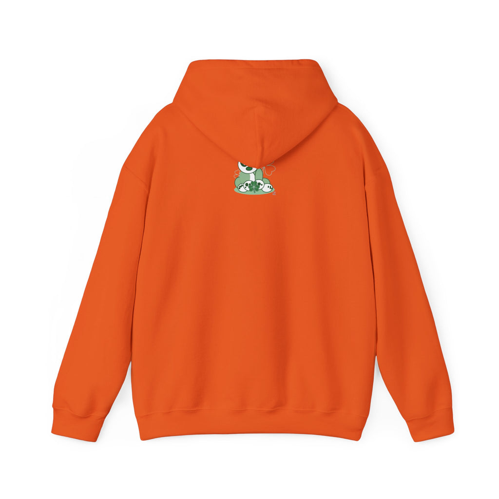 Lucky St. Patrick’s Day Leprechaun Hoodie